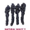 Natural Wavy Raw Hair