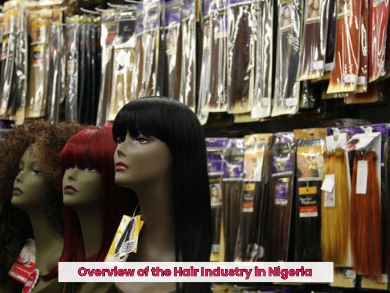 How to Import Hair from Vietnam to Nigeria Successfully 2 How to Import Hair from Vietnam to Nigeria