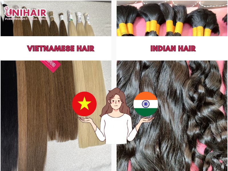 Raw Hair Vendors in India: Quality, Price & Top Picks 5 Vietnamese hair vs Indian hair: Which one is better?