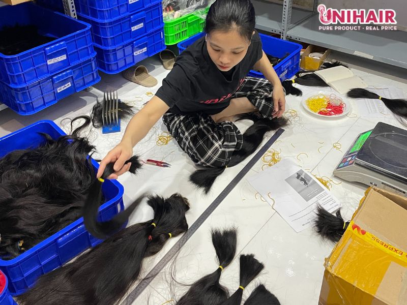 Dropshipping Hair Vendors for Wigs & Extensions | Private Label Packaging 50 Hair Workers