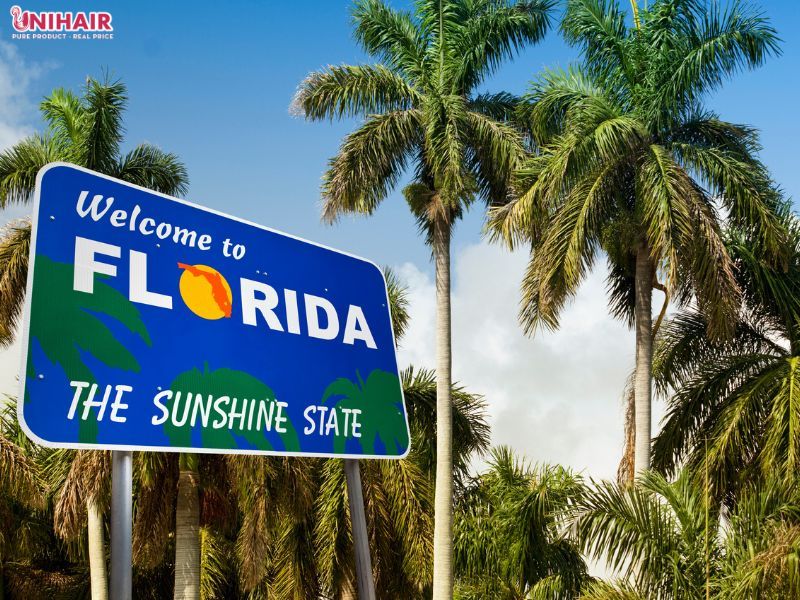 Discover Top 8 Wholesale Hair Vendors in Florida for Your Business 2 An overview of hair wholesale vendors in Florida
