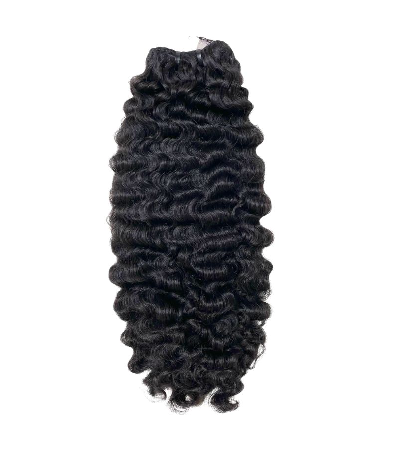 Burmese curl
