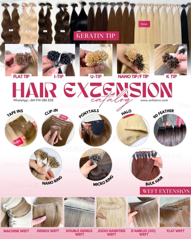 Extension Catalogue