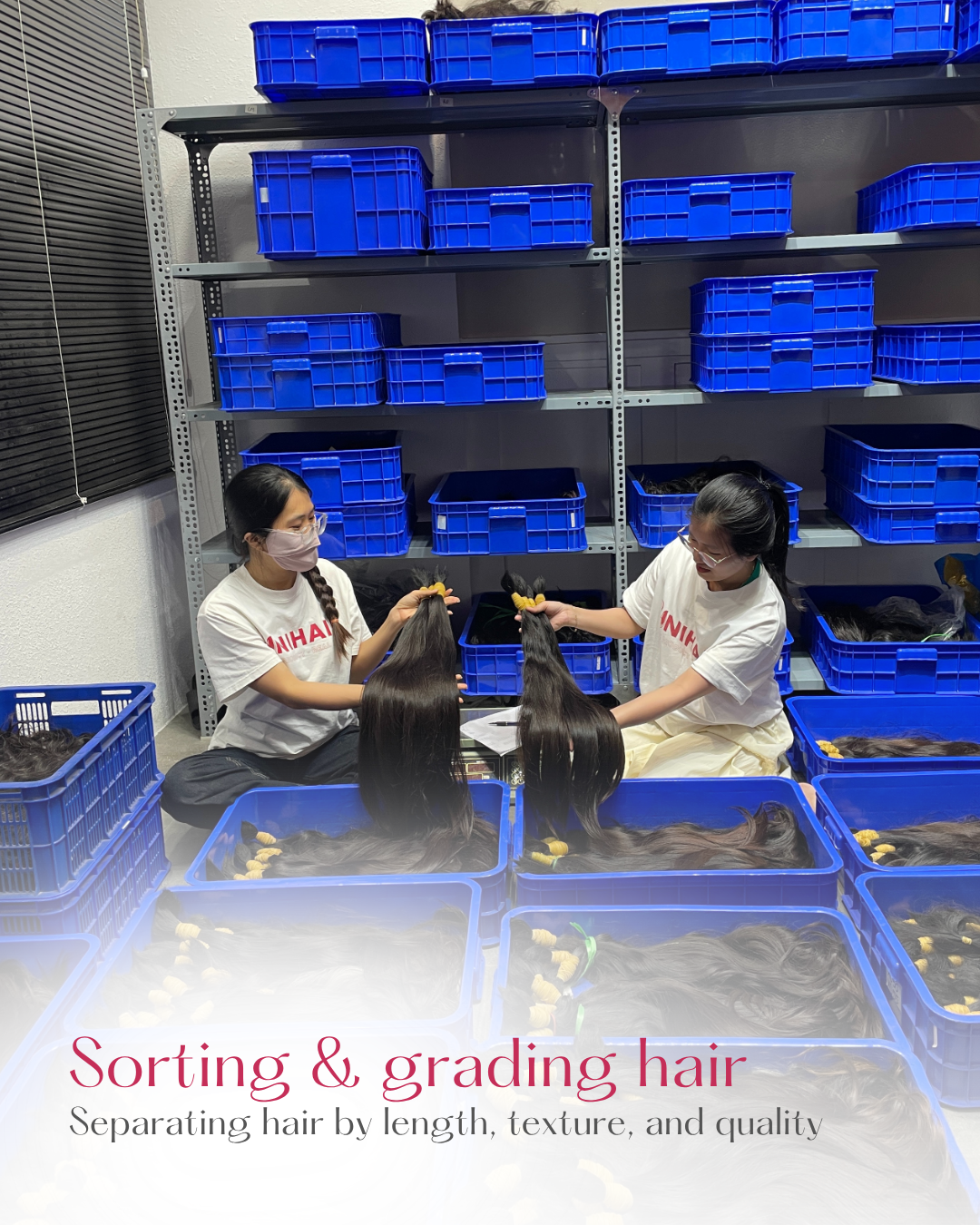 sorting-grading-hair
